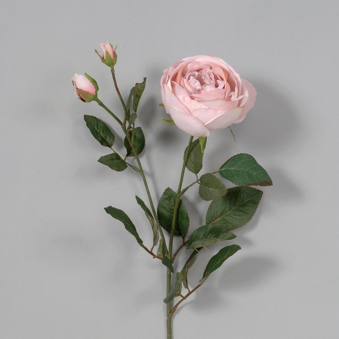 27" Polyester Cabbage Rose - Pastel Pink