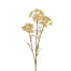 29 1/2 in Yarrow Spray - Cream