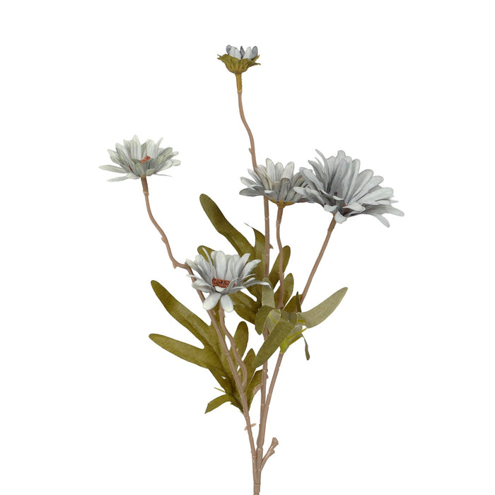 Fall Daisy - Dusty Blue