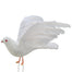 White Cotton & Feather Dove w/Pearls