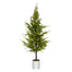 72" Pine Tree in Pot
