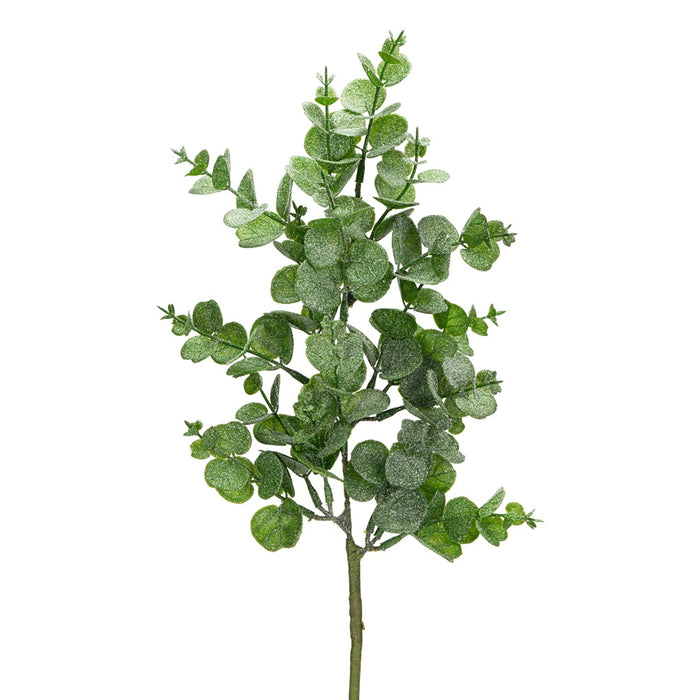 20 in Frosted Eucalyptus Spray - Green