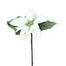 15 in Deluxe Poinsettia Pick - White/Green