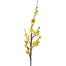 40 in Quince Branch - Yellow