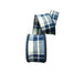 2.5 in Cotton Checks Ribbon - Blue/White