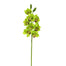 32 in Orchid/Cymbidium Spray - Green