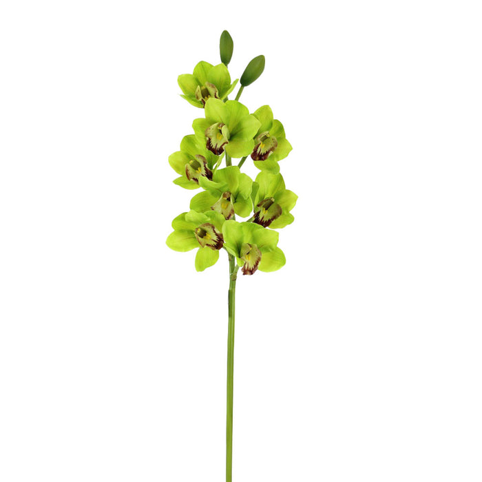 32 in Orchid/Cymbidium Spray - Green