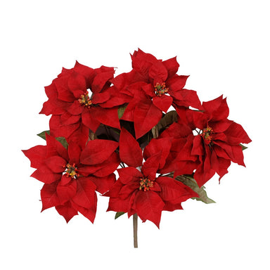 Velvet Poinsettia Bush - Red
