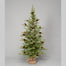 60" Pine Tree w/Cone & Burlap Base