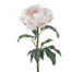 20.5" Peony Stem - Dusty Peach