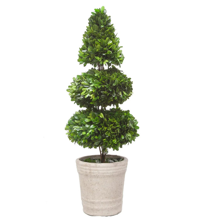 28" Rodeo Boxwood Topiary - Green