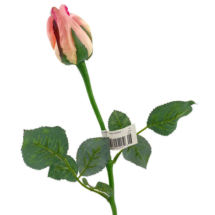 22 1/2 in Single Princess Mary Rose Bud