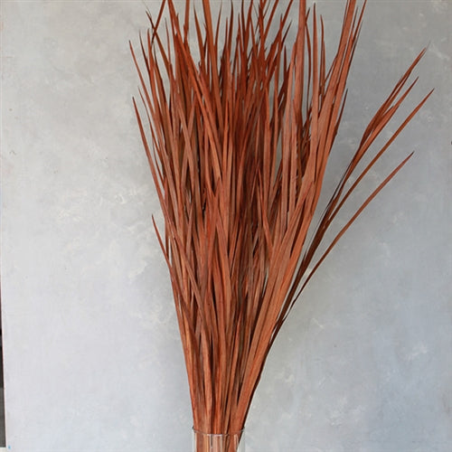 Wild Grass