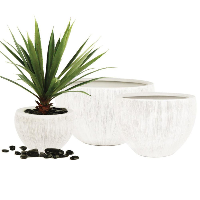 Tropical Accent Bowl