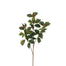 27 in Holly/Berry Spray - Green