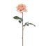 Rose Dutchess Open Short Stem