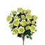 Grandiflora Rose Bush