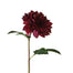 Bella Dahlia Stem
