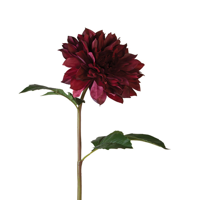 Bella Dahlia Stem