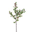 39" Variegated Holly Berry Spray - Red