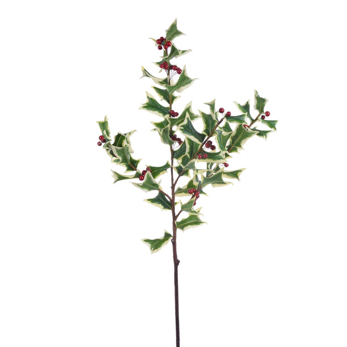 39" Variegated Holly Berry Spray - Red