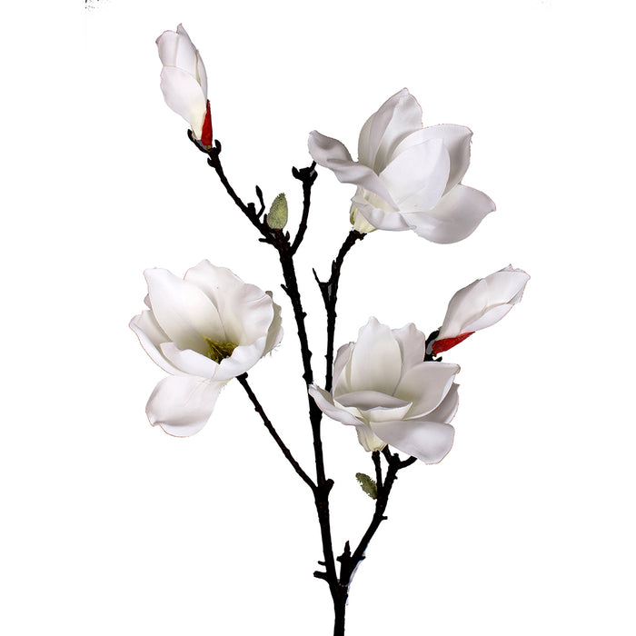 Saucer Magnolia Stem 40 In White