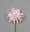 10" Polyester Flame Dahlia Pick - Pink