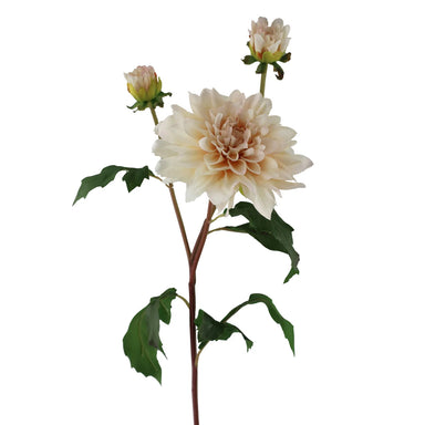 22.5" Dahlia Stem - Brush