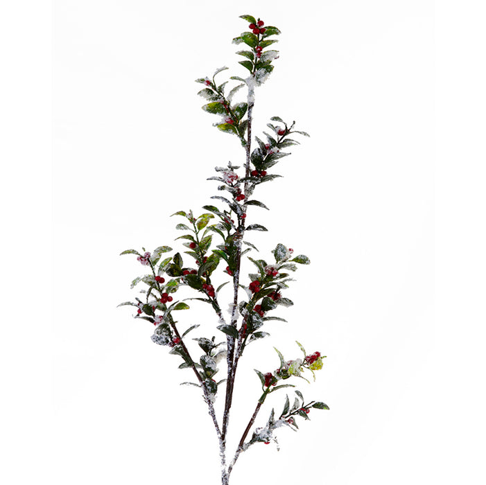 Snowberry Spray