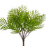 19 in Palm Bush - Green
