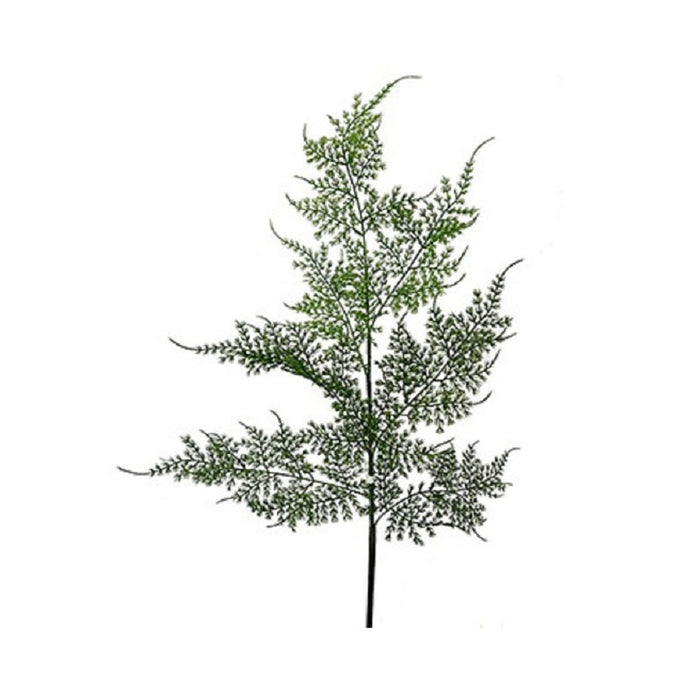 27 in Plumosa Spray - Green