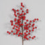 Berry Spray
