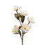 38 in Magnolia Spray - White