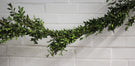 75ft Boxwood Garland