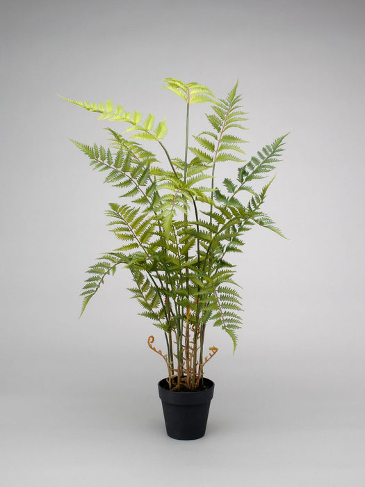 42" Fern Plant w/Pot - Green