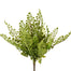 14" Maidenhair Bush - Two Toned Green