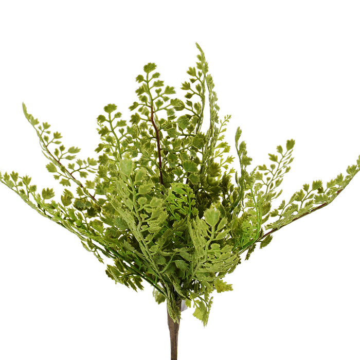 14" Maidenhair Bush - Two Toned Green