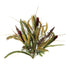 Cattail/Wheat Mixed Bush