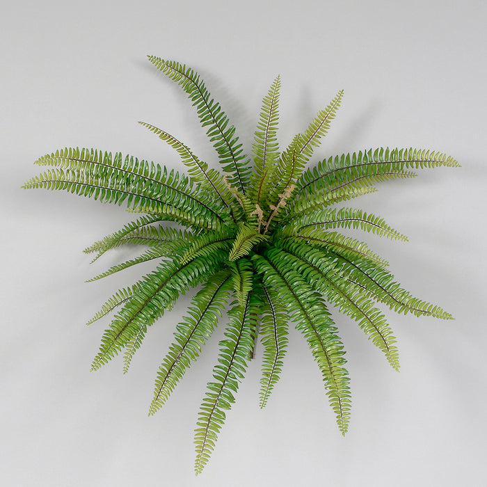 29" Boston Fern Bush - Green