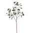 43" Seeded Dollar Eucalyptus Stem - Green