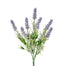 13" in Pe Sm Lavender Bush x7 Lavender