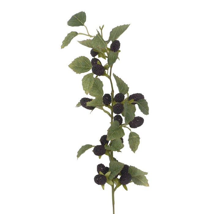 29 in Mulberry Spray w/Berries - Black
