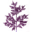 19'' Incense Cedar Glitter Spray - Purple