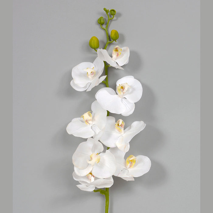 42 inPolyester Phalaenopsis Spray