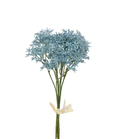 14 in Starflower Bundle - Light Blue