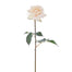 20" Rose Dutchess Open Short Stem