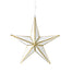 Borealis Glitter Star Ornament - White/Gold