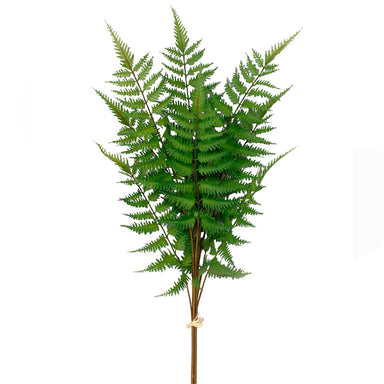 30" Fern Bundle w/Tied Raffia