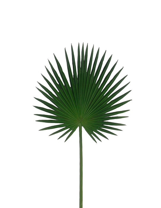 33 in Fan Palm - Green