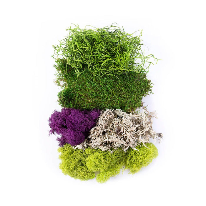Moss Mix
